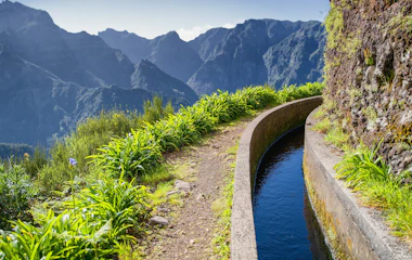 Smuk levada vandrerute med vandingskanal gennem grønne bjerge på Madeira Portugal