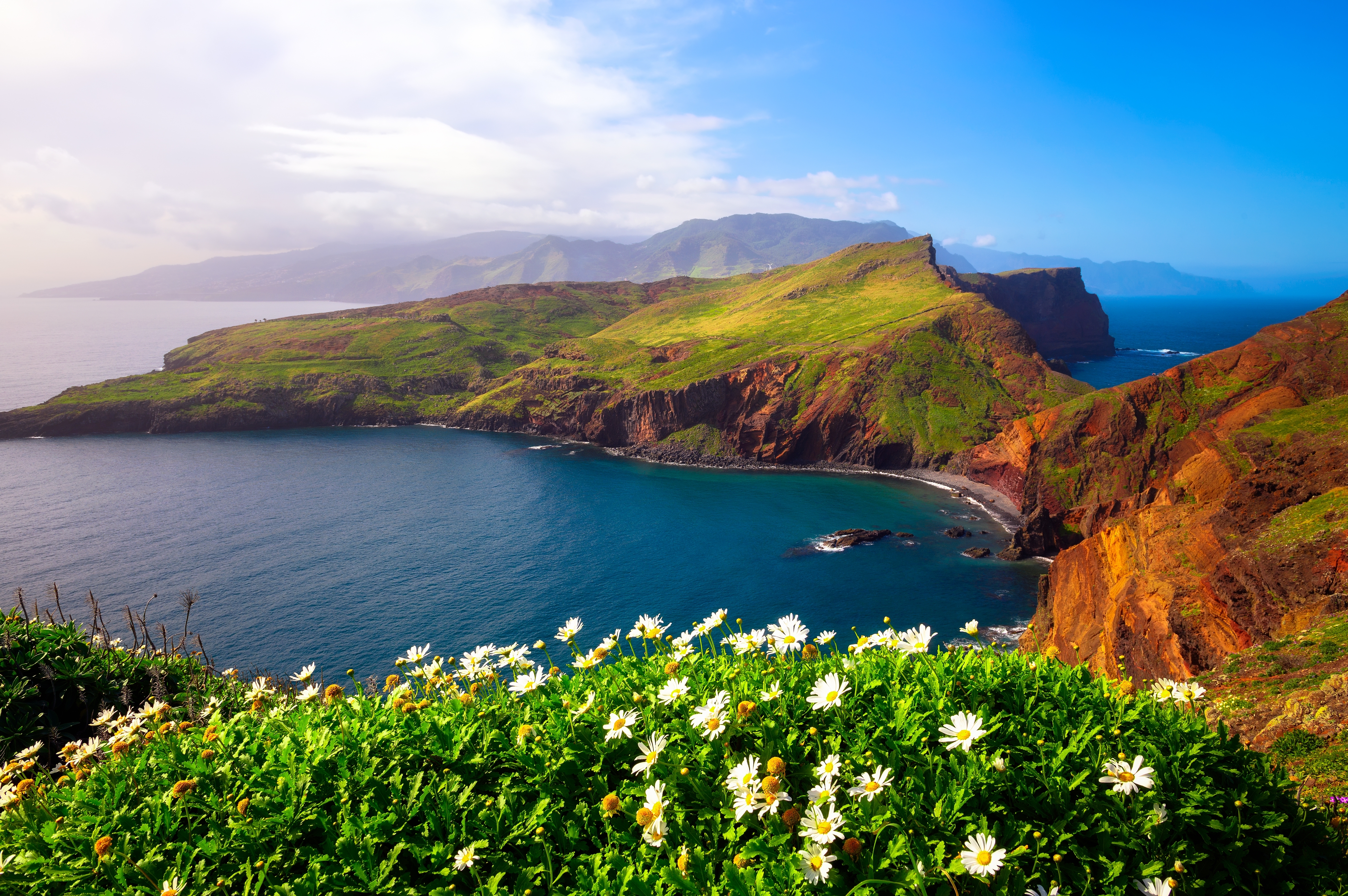 Betagende udsigt over Ponta de Sao Lourenco halvøen på Madeira med farverige vilde blomster i forgrunden og det turkisblå Atlanterhav der omgiver de dramatiske klipper i Portugal