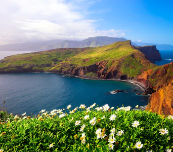 Betagende udsigt over Ponta de Sao Lourenco halvøen på Madeira med farverige vilde blomster i forgrunden og det turkisblå Atlanterhav der omgiver de dramatiske klipper i Portugal