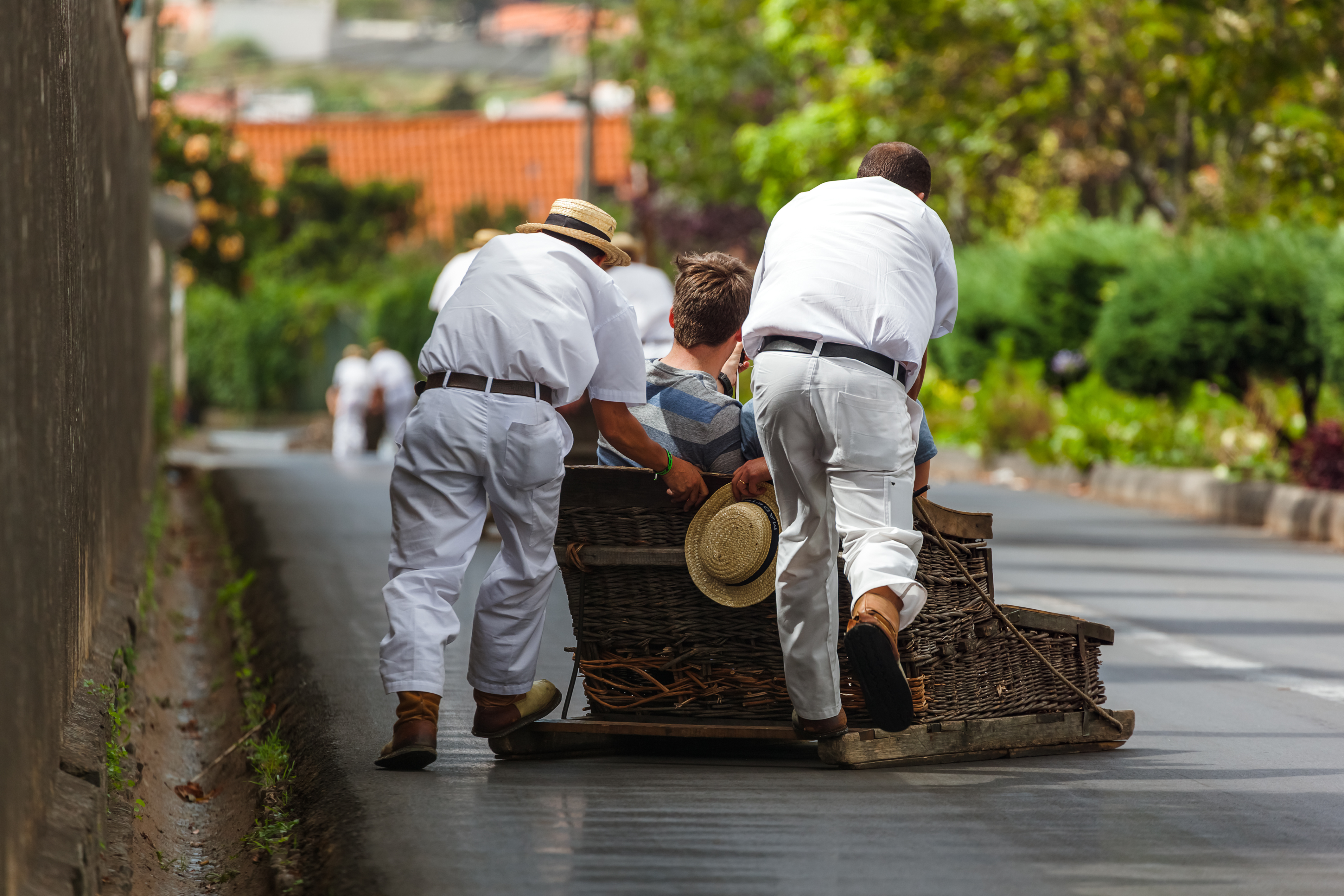 Traditionel toboggan-kørsel ned ad stejl gade i Funchal på Madeira Portugal