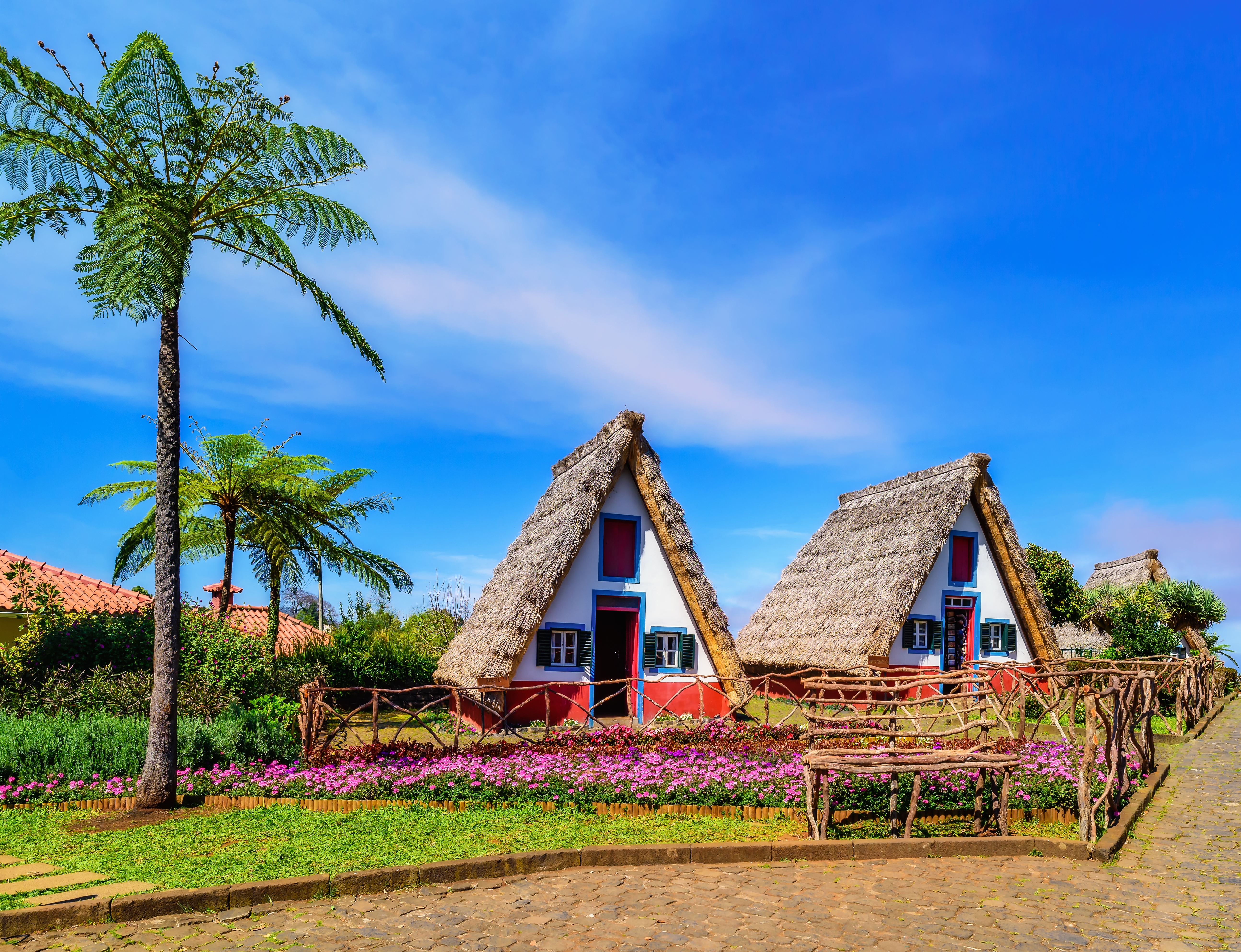 Traditionelle trekantede huse med stråtag og palmer under blå himmel på Madeira Portugal