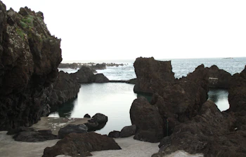 Betagende udsigt over Madeiras frodige grønne bjerge og dramatiske kystlinje ved Atlanterhavet, som viser den portugisiske øs tropiske naturskønhed