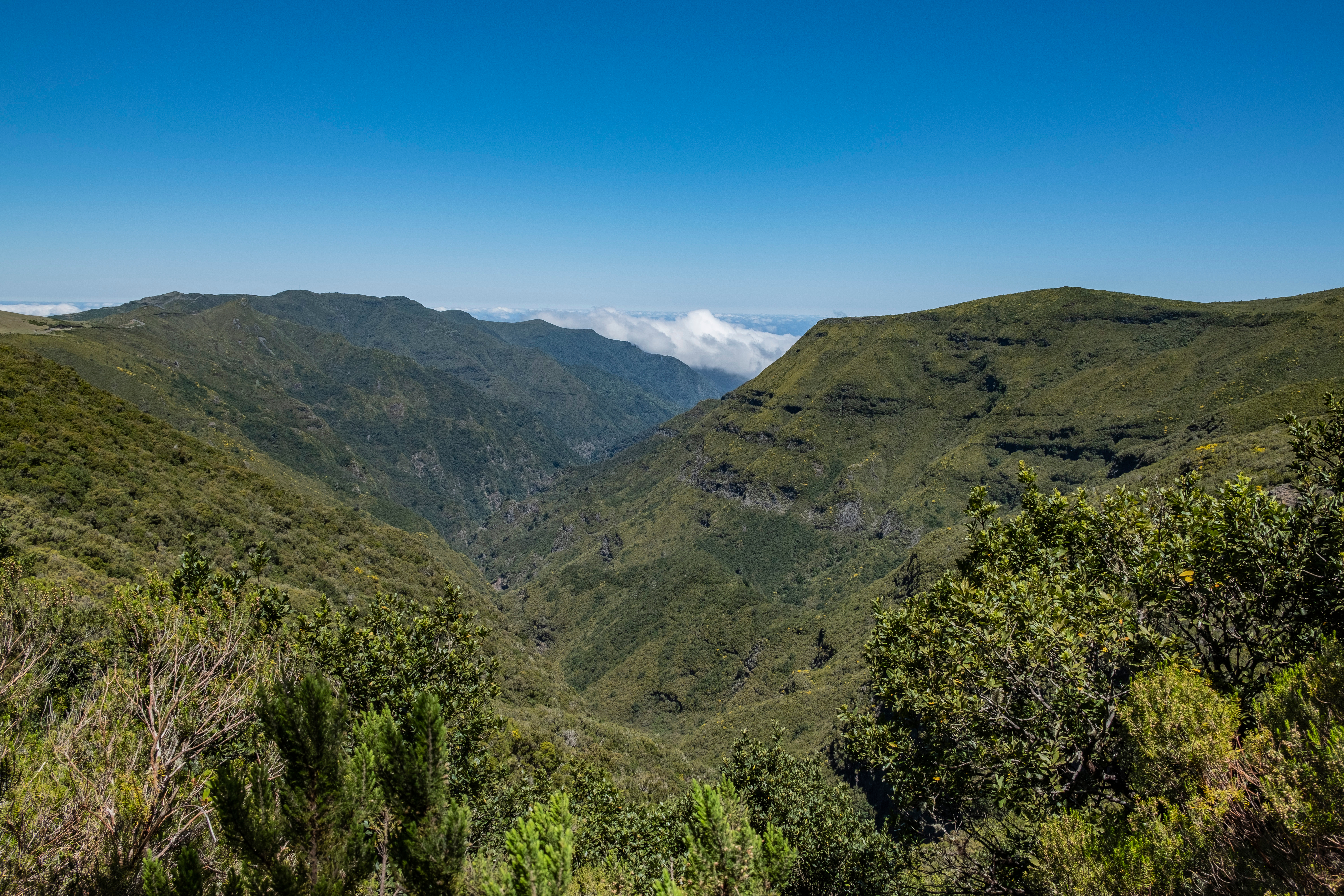 Betagende udsigt over Madeiras grønne bjerge og dale fra vandresti på Levada do Alecrim, perfekt til vandreferie med dansktalende rejseleder