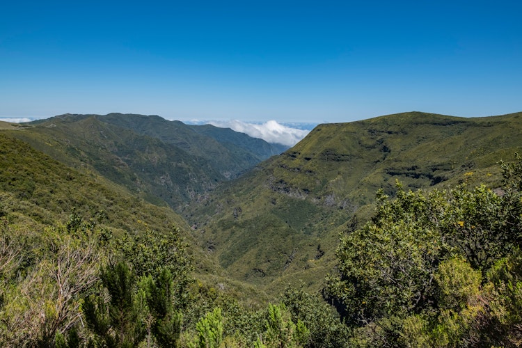 Betagende udsigt over Madeiras grønne bjerge og dale fra vandresti på Levada do Alecrim, perfekt til vandreferie med dansktalende rejseleder