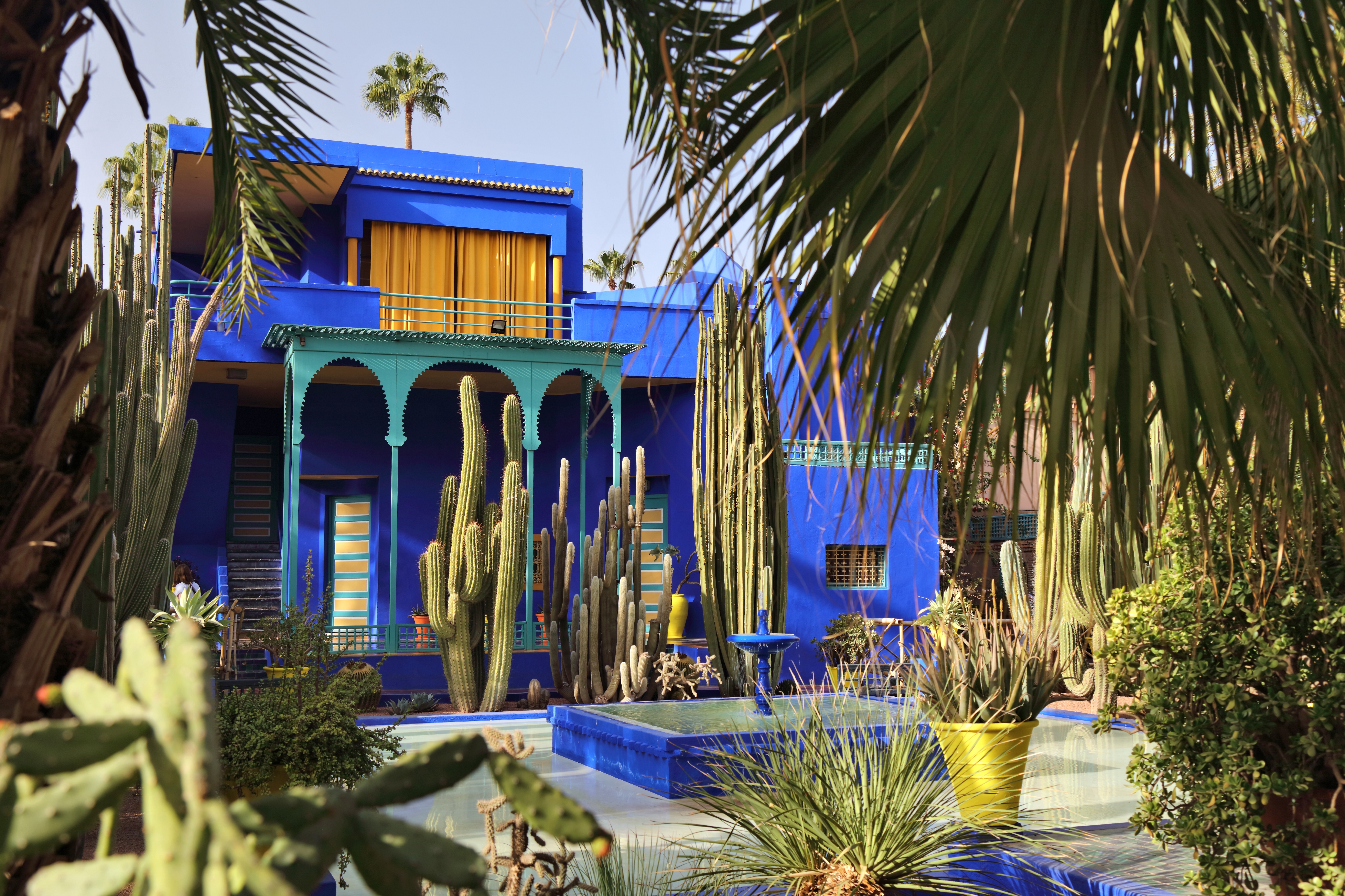 Den ikoniske koboltblå bygning i Majorelle-haven i Marrakech, omgivet af eksotiske palmer, kaktusser og frodig tropisk vegetation i denne historiske botaniske have i Marokko