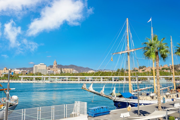 Malerisk udsigt over Malagas havn med fortøjede sejlbåde langs kajen, palmer der pryder promenaden og byens skyline med bjerge i baggrunden under klar blå middelhavshimmel