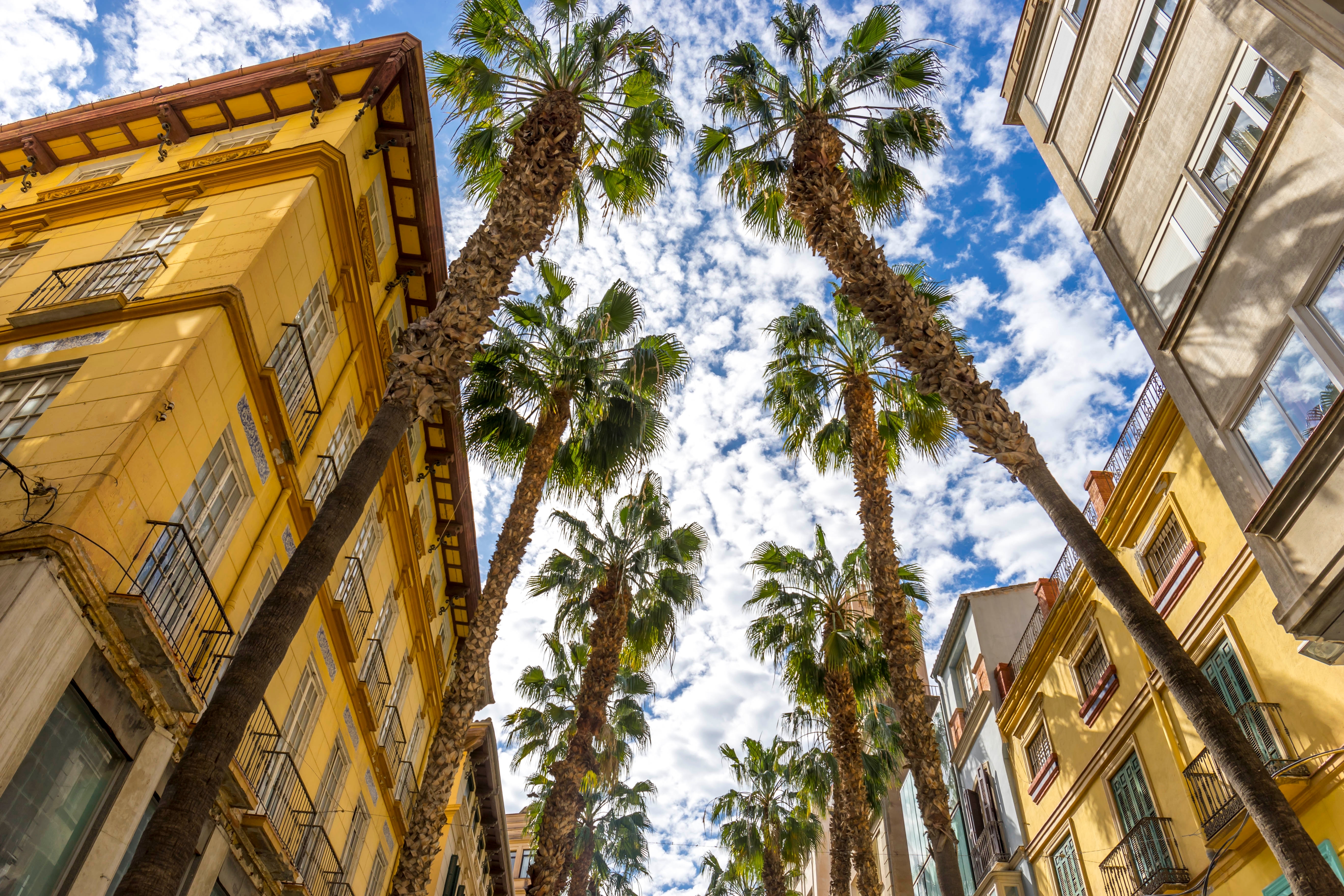 Smuk udsigt over Málagas historiske bymidte med den imponerende katedral og charmerende pladser i hjertet af Andalusien