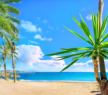 Panoramaudsigt over den berømte Malagueta-strand med palmer og azurblåt hav i Malaga, Costa del Sol, Spanien