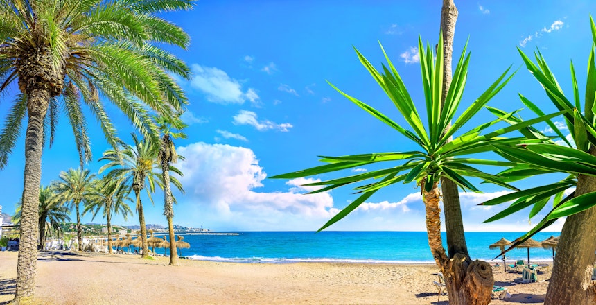 Panoramaudsigt over den berømte Malagueta-strand med palmer og azurblåt hav i Malaga, Costa del Sol, Spanien