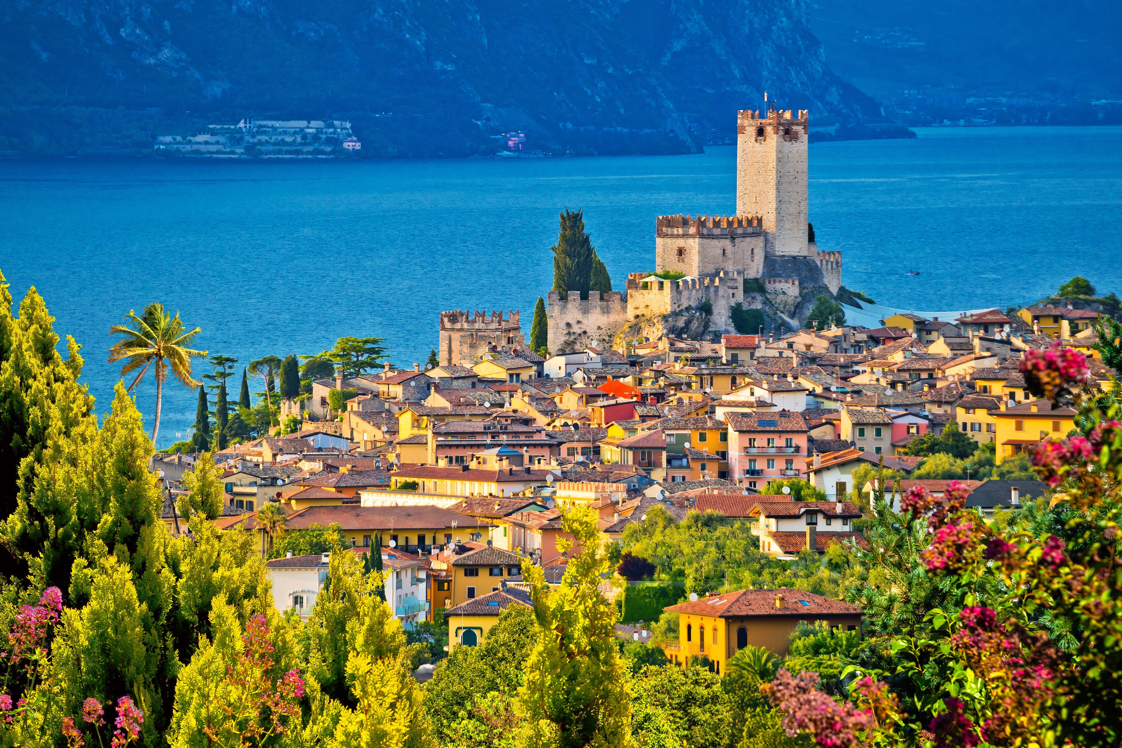 Panoramaudsigt over den charmerende by Malcesine ved Gardasøen med det middelalderlige Scaliger-slot og farverige bygninger, Veneto, Italien
