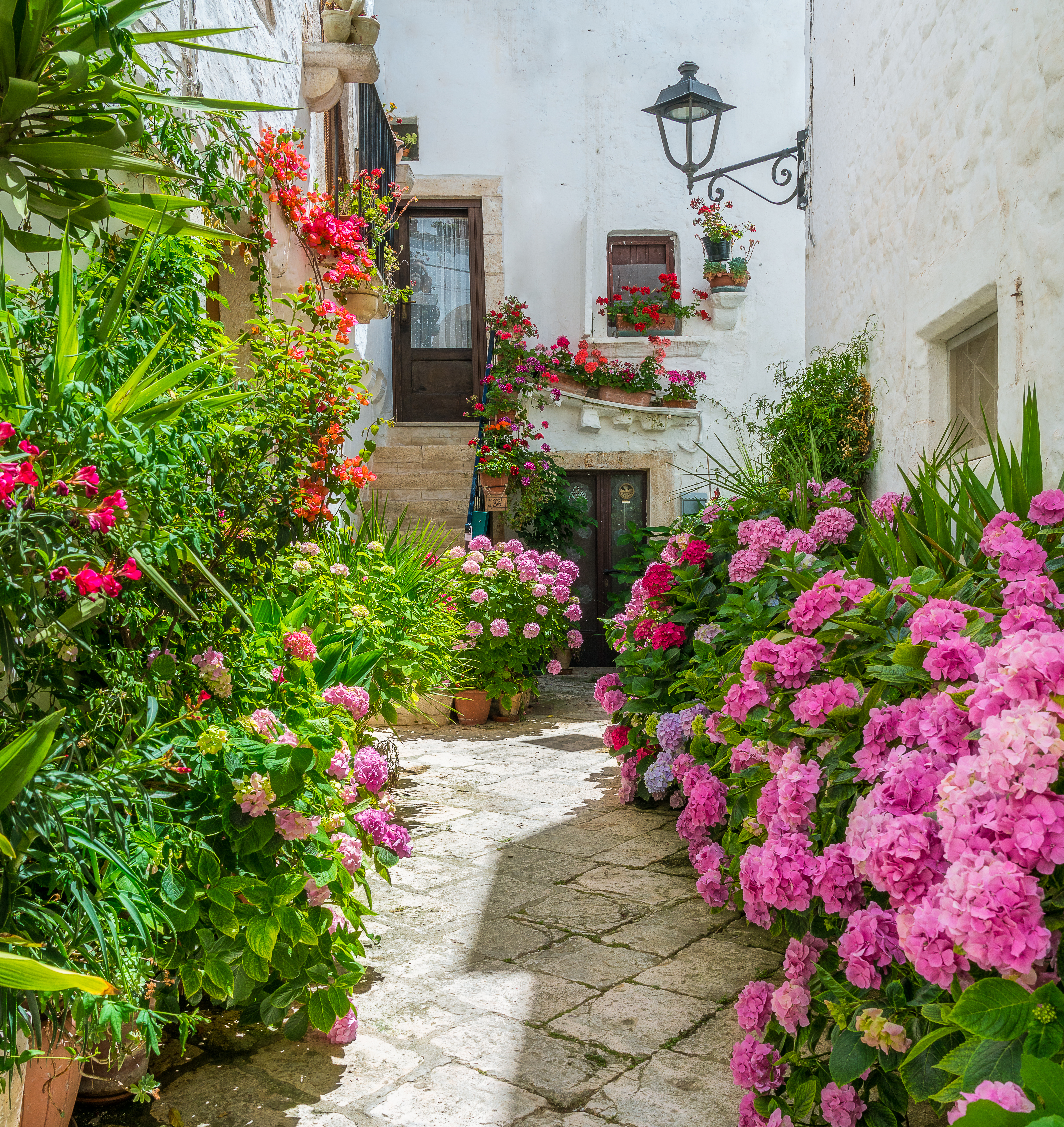Idyllisk hvid gade med farverige blomster i den historiske by Locorotondo i Apulien, Syditalien