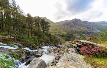 Betagende vandfald omgivet af frodig grøn skov i Snowdonia Nationalpark, Nord-Wales