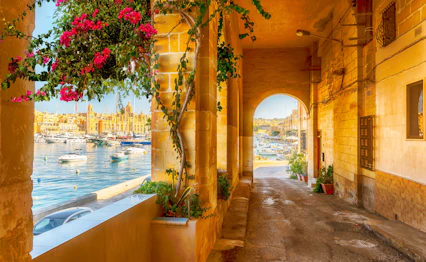 Traditionel maltesisk havneterrasse med farverige blomster og udsigt over Valletta