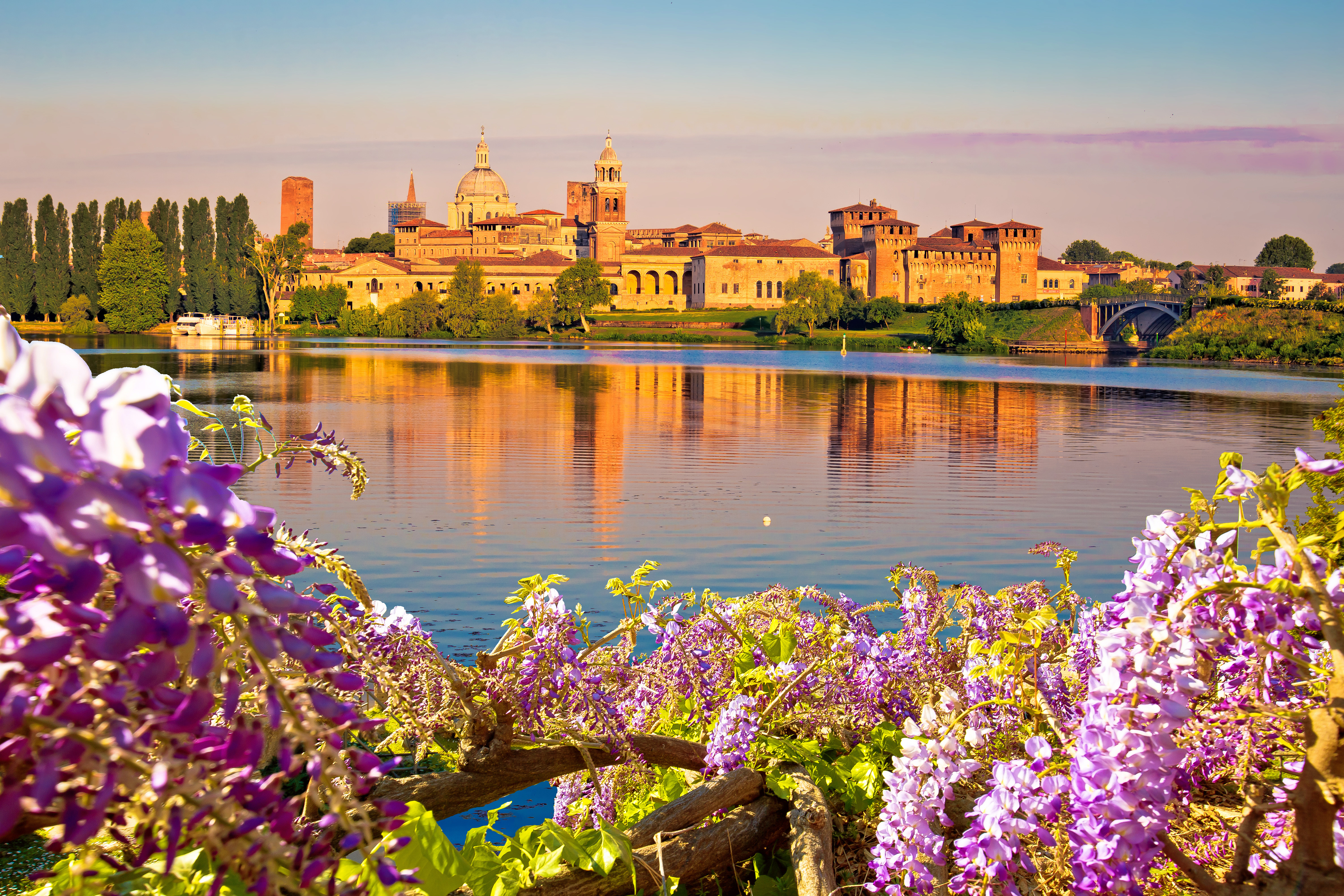 Smuk solnedgangsvisning af Mantuas historiske skyline spejlet i Lago Inferiore med lilla blomster i forgrunden