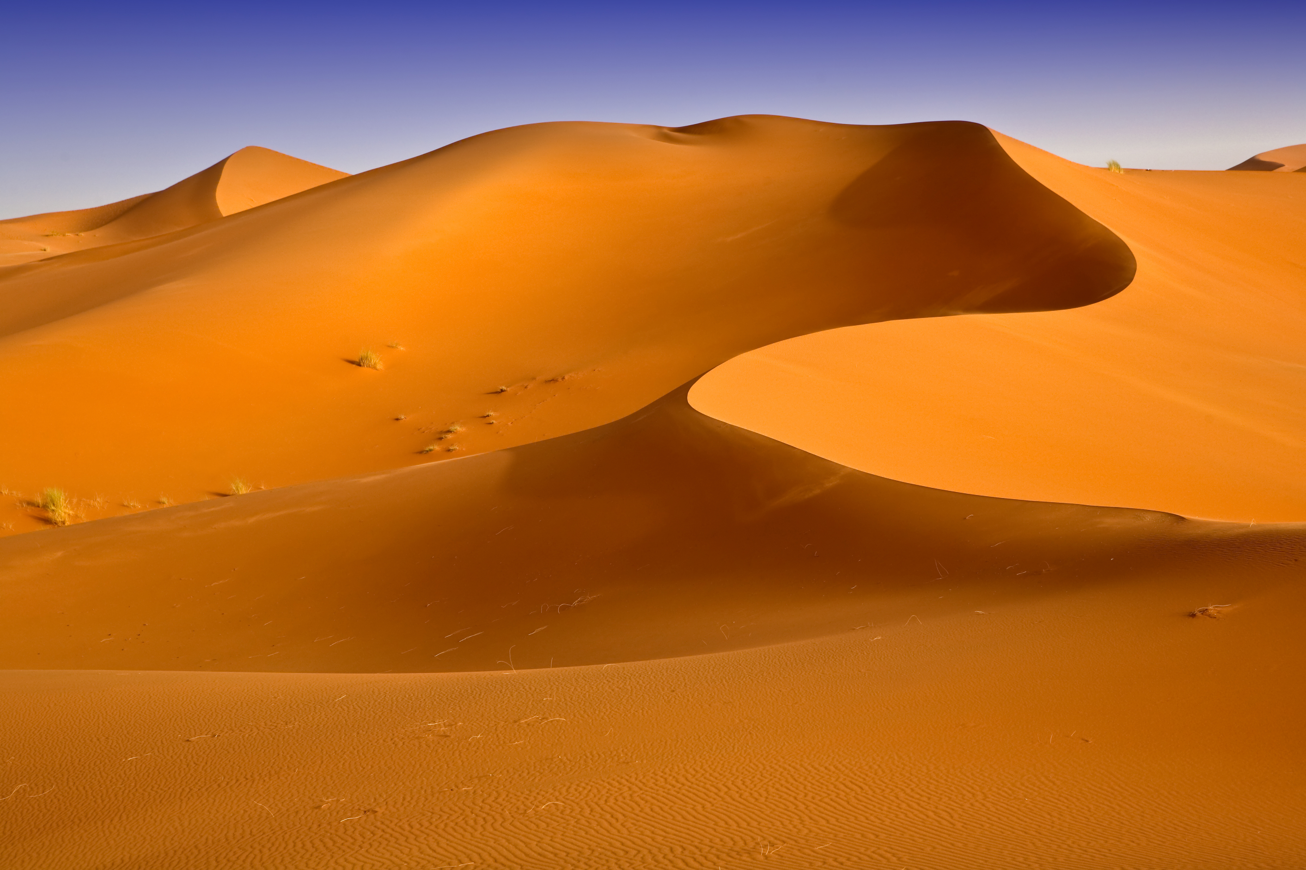 Gyldne sanddyner i Erg Chebbi-ørkenen i Marokko med klar blå himmel, perfekt til eventyrlige ørkenrejser