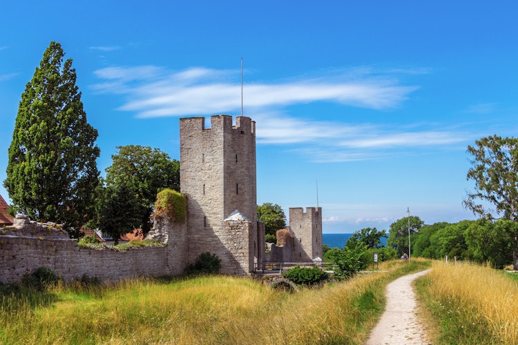Middelalderborg med stentaarne og ringmur omgivet af gyldne marker under blaa sommerhimmel