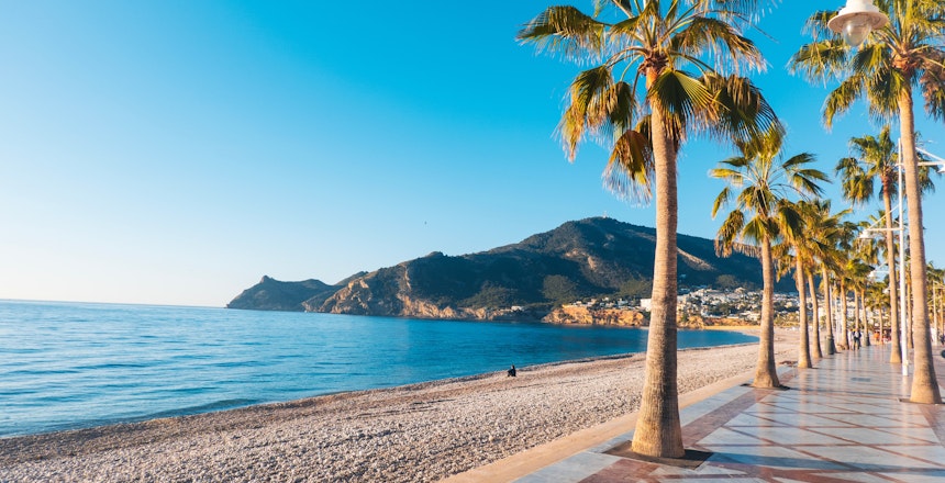 Smuk middelhavsstrand med palmer og promenade langs krystalklart blåt vand - perfekt feriemål
