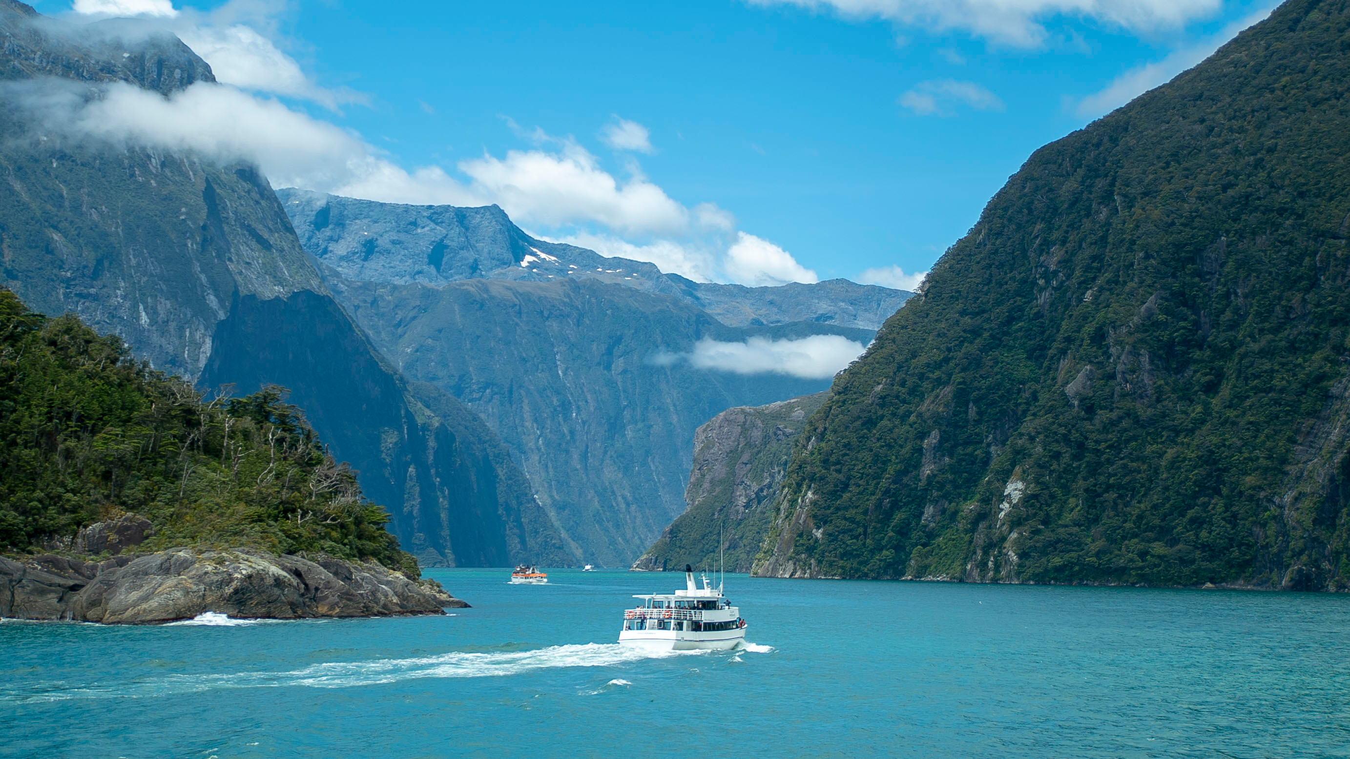 Krydstogtsbaad sejler gennem Milford Sound fjord med dramatiske bjerge og turkisblaat vand i New Zealand