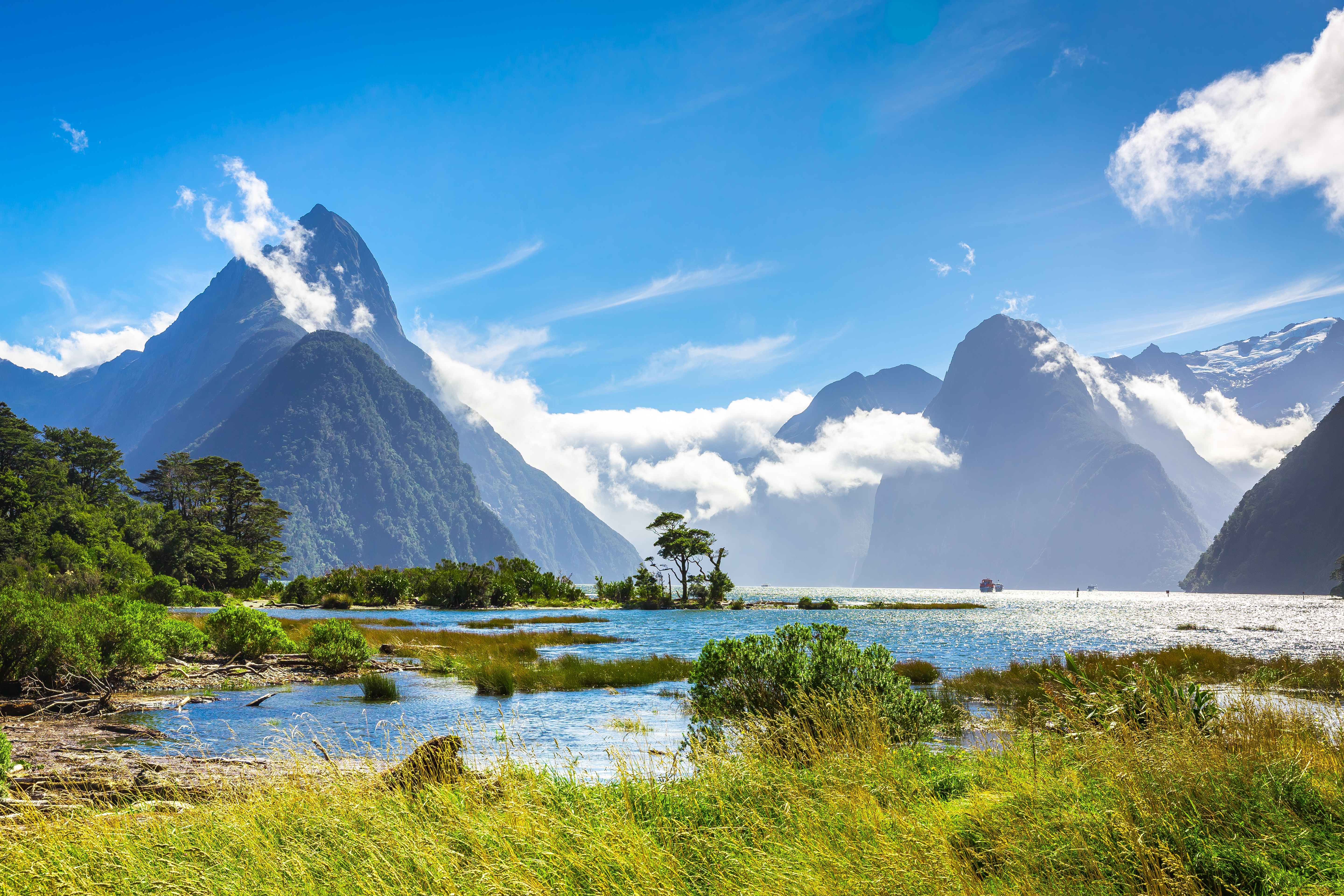 Spektakulær udsigt over Milford Sound i New Zealand med Mitre Peak der rejser sig over fjorden, omgivet af frodig natur og dramatiske bjerge under en klarblå himmel