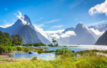 Spektakulær udsigt over Milford Sound i New Zealand med Mitre Peak der rejser sig over fjorden, omgivet af frodig natur og dramatiske bjerge under en klarblå himmel
