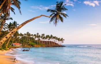Idyllisk tropisk paradis ved Mirissa-stranden på Sri Lankas sydkyst med en hældende palme over turkisblåt vand, gyldne sandstrande og fredfyldt havudsigt