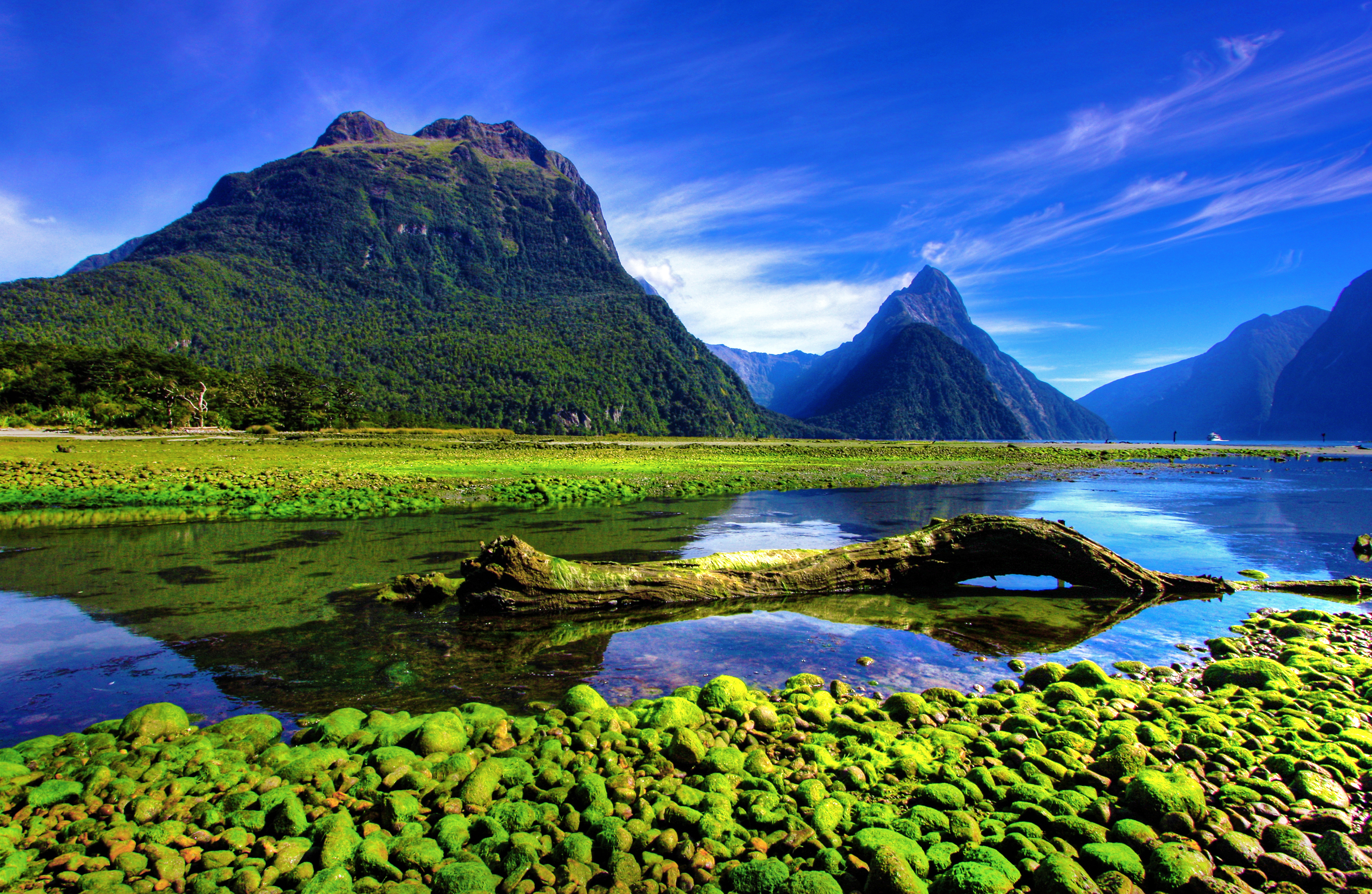 Mirror Lakes med perfekte bjergspejlinger på vej til Milford Sound i New Zealand