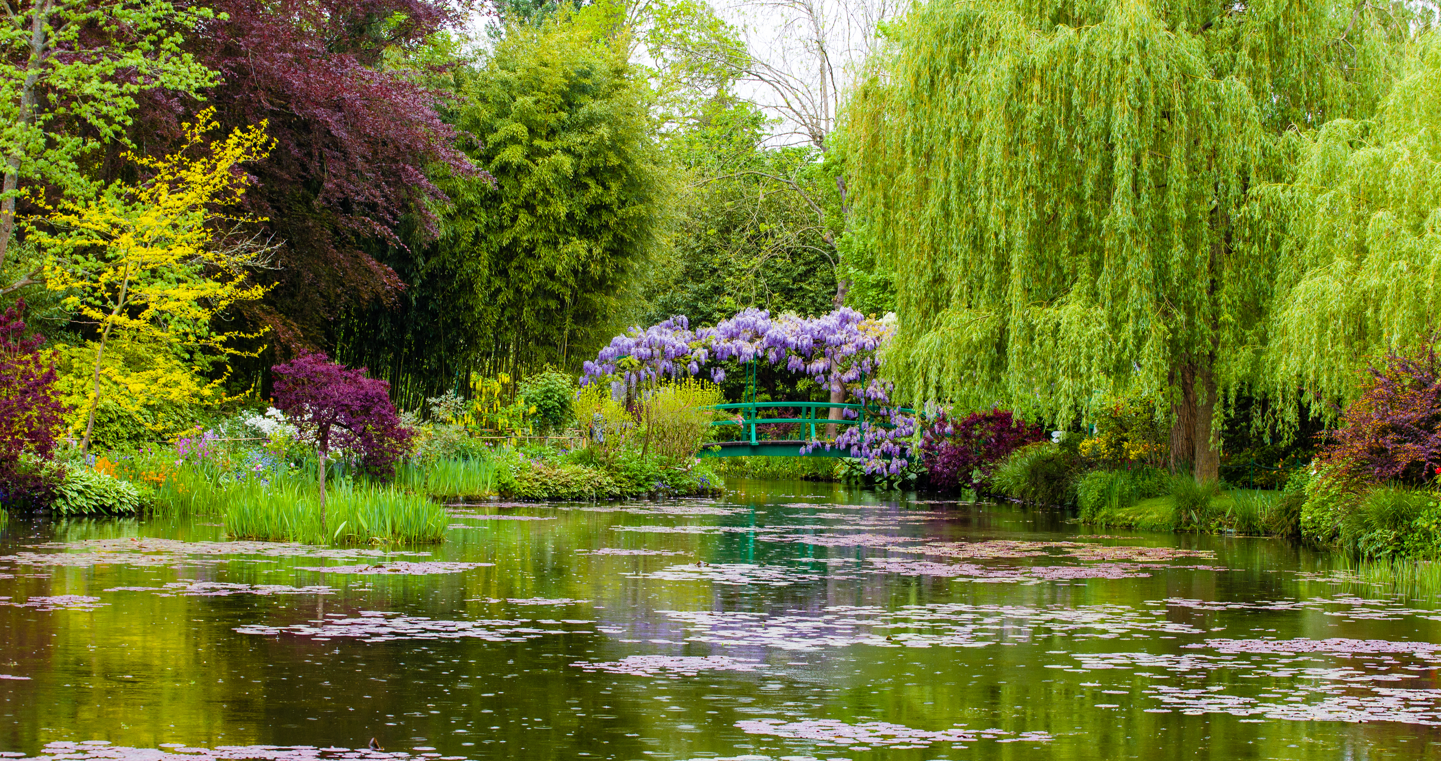 Idyllisk udsigt over åkandedammen i Claude Monets berømte have i Giverny med den grønne japanske bro, hængepiletræer og farverige blomster
