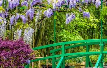 Den japanske bro over åkandedam i Claude Monets historiske have i Giverny, Frankrig, omgivet af farverige forårsblomster