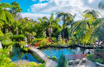Japansk have i Monte Palace på Madeira med frodige tropiske planter, røde broer og en fredfyldt koi-dam omgivet af eksotisk vegetation