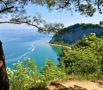 Betagende udsigt over Månebugten med turkisblåt vand ved Strunjan på den slovenske adriaterhavskyst, omgivet af frodig middelhavsvegetation