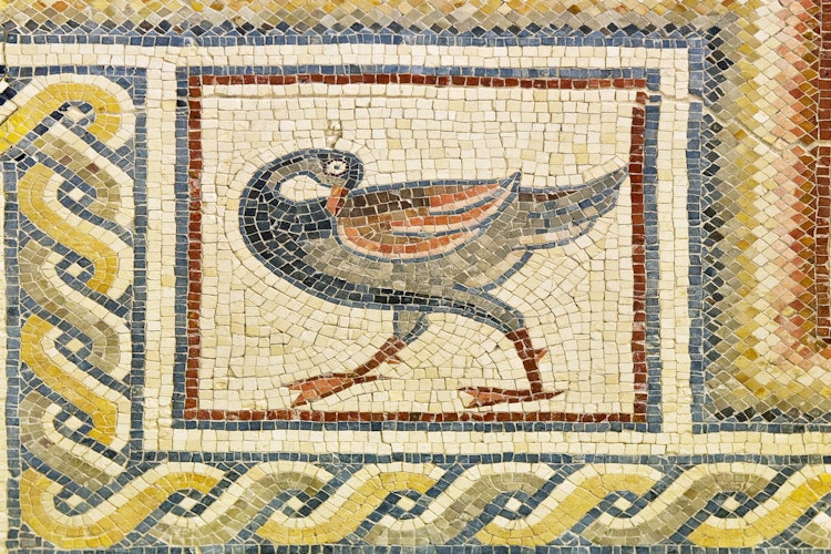 Byzantinsk gulvmosaik med fugledetalje fra Præst Johannes Kirken på Bjerget Nebo i Jordan - historisk kulturarv