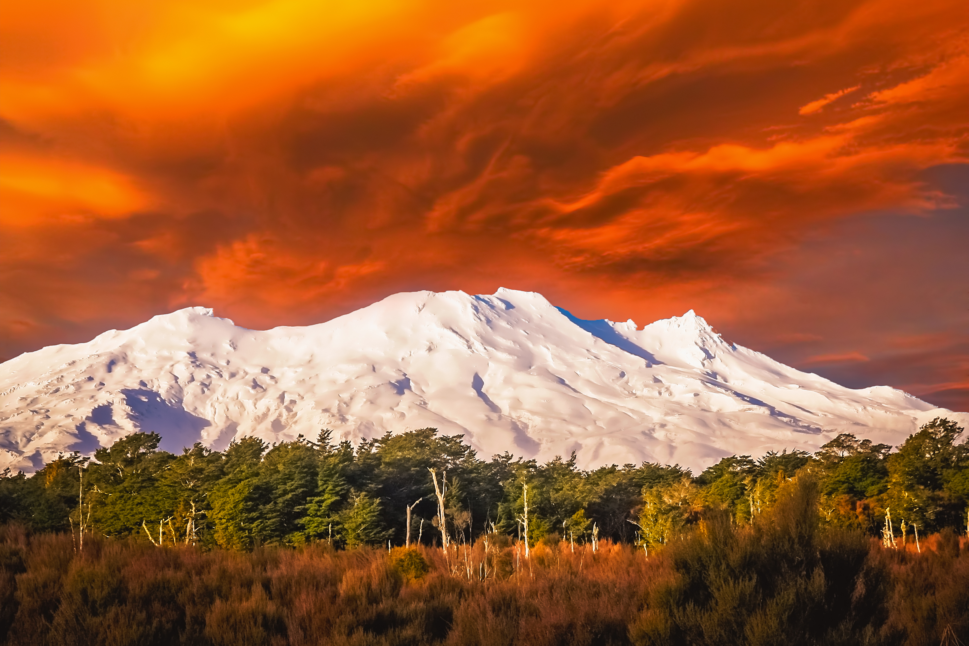 Spektakulær solnedgang over snedækte Mount Ruapehu med orange himmel og naturlig skov, New Zealand bjerglandskab