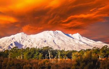 Spektakulær solnedgang over snedækte Mount Ruapehu med orange himmel og naturlig skov, New Zealand bjerglandskab