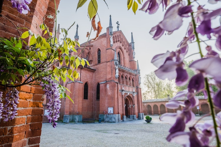 Den neogotiske San Vittore katedral i Pollenzo, Piemonte med blomstrende blåregn og historisk arkitektur