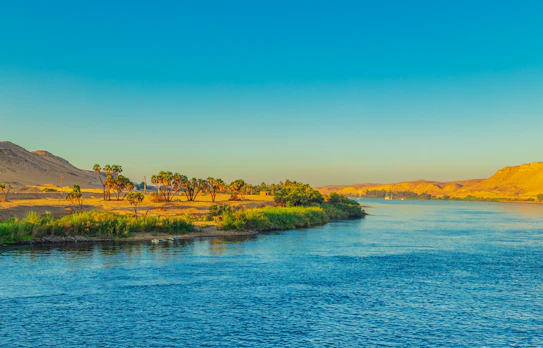 Smuk udsigt over Nilen ved Aswan i Egypten med frodig grøn vegetation langs bredden og gyldent ørkenlandskab i solnedgangen