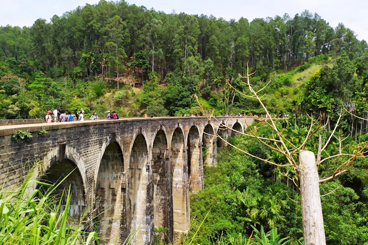Den historiske Nine Arch Bridge omgivet af frodig grøn skov i Ella, Sri Lanka - et populært rejsemål for naturoplevelser