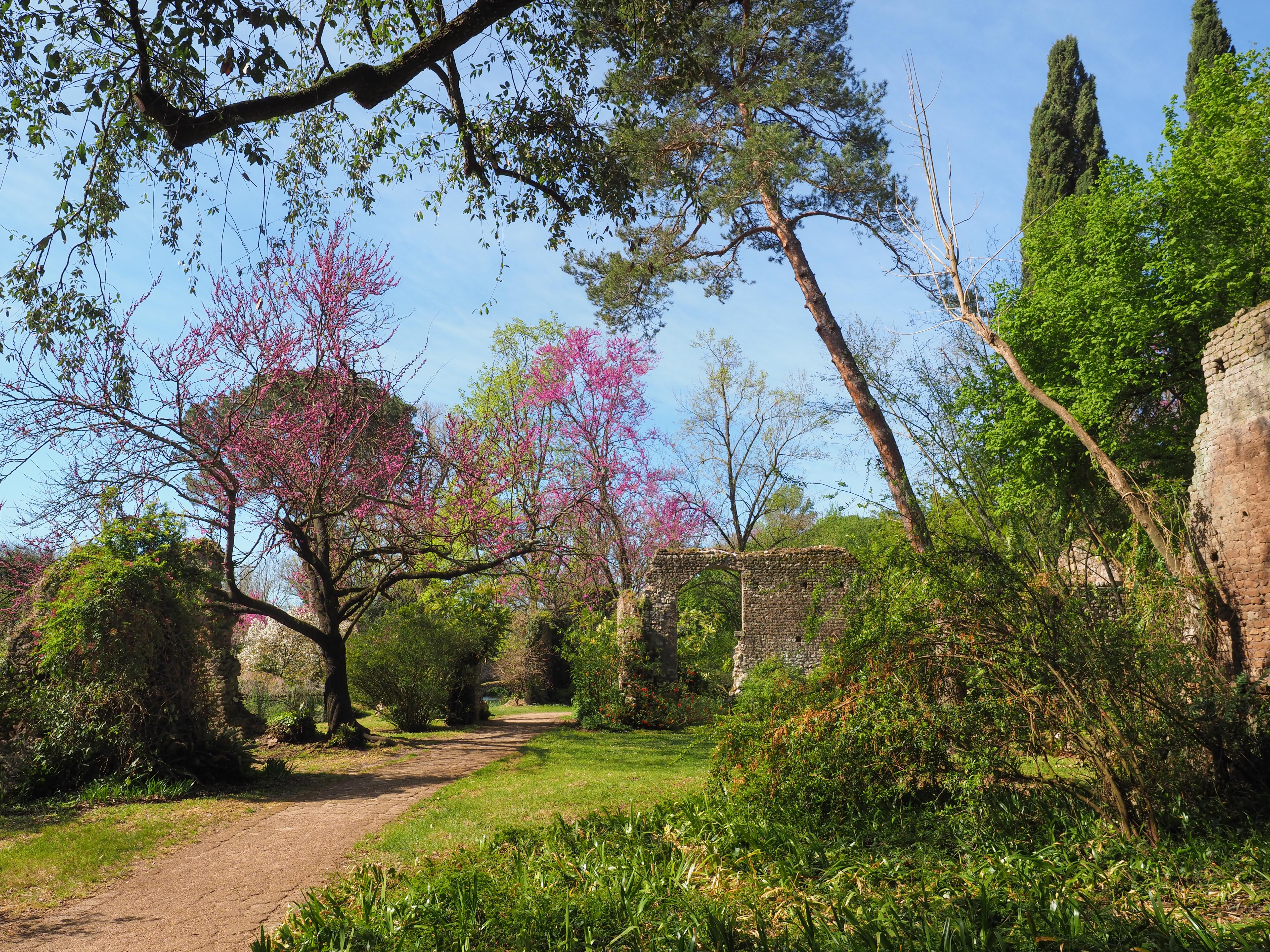 Den fortryllende Have i Ninfa med lyserøde blomstrende træer, gamle middelalderruiner og frodig grøn natur under en klar blå forårshimmel i Lazio, Italien