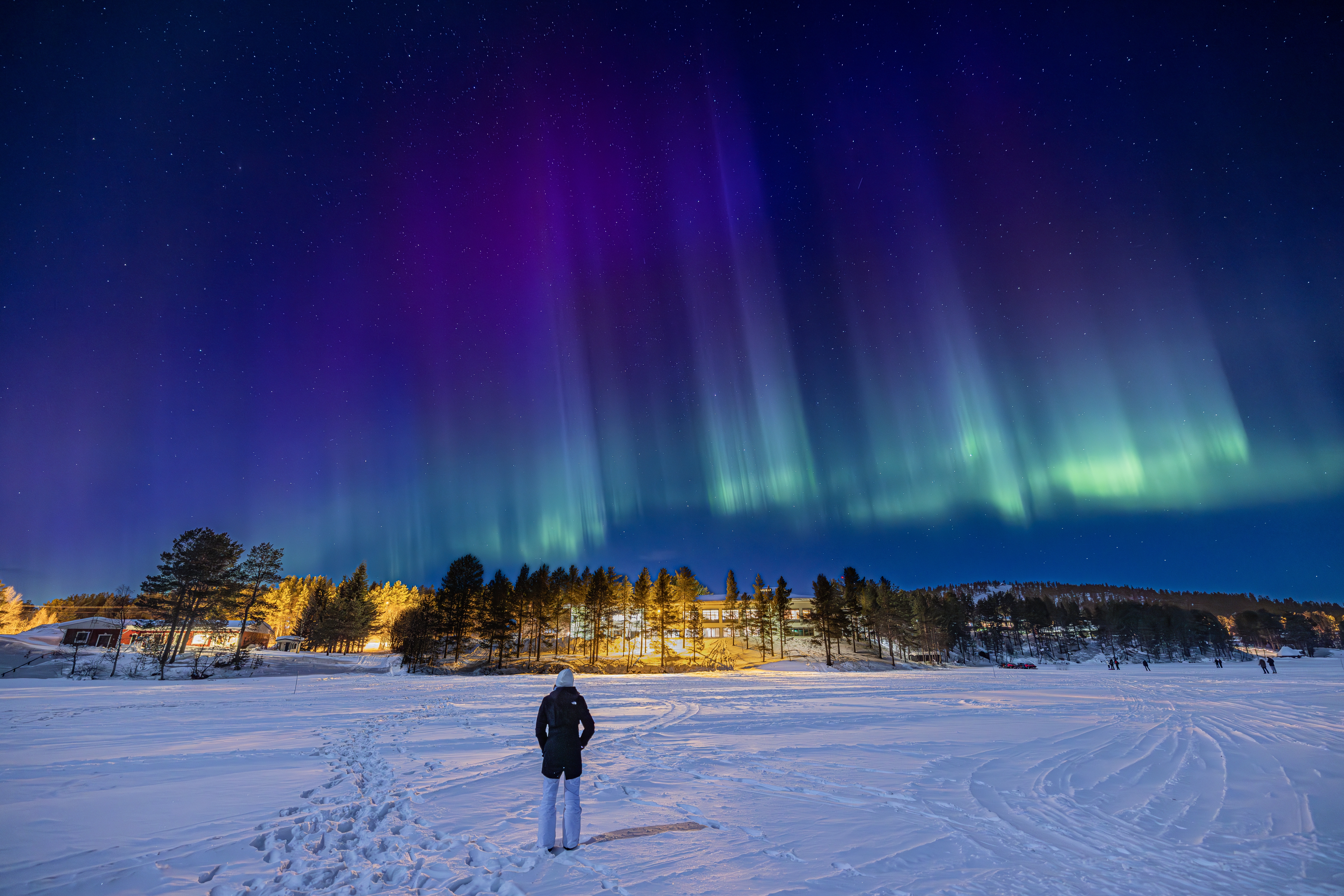 Nordlys over snedækket Lapland i Finland - spektakulær aurora borealis med grønne og lilla farver på vinterhimlen
