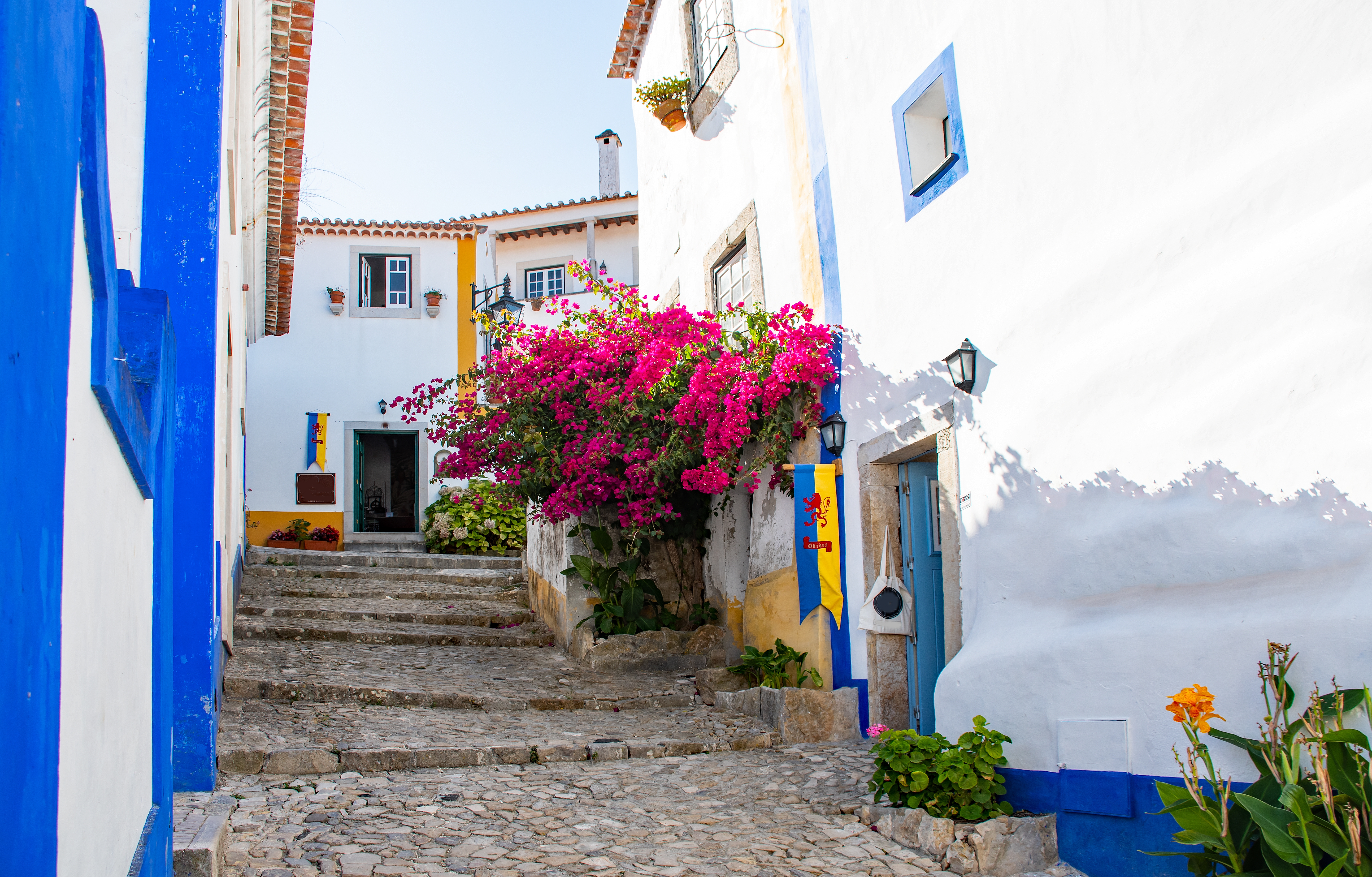 Traditionelle hvide huse med blå døre og lilla blomster i Óbidos Portugal