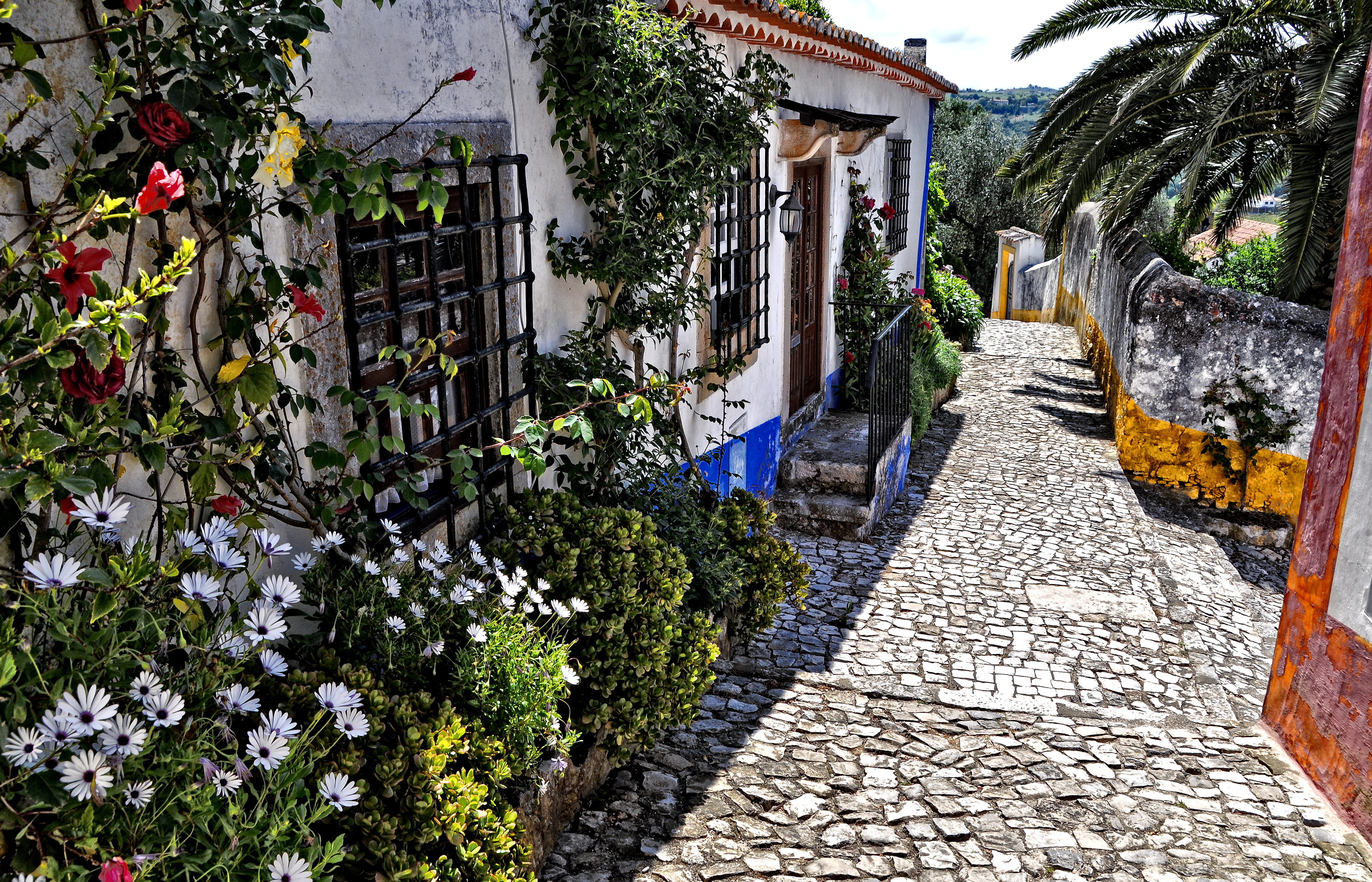Charmerende brolagte gade med traditionelle hvidkalkede huse og farverige blomster i historiske Obidos Portugal