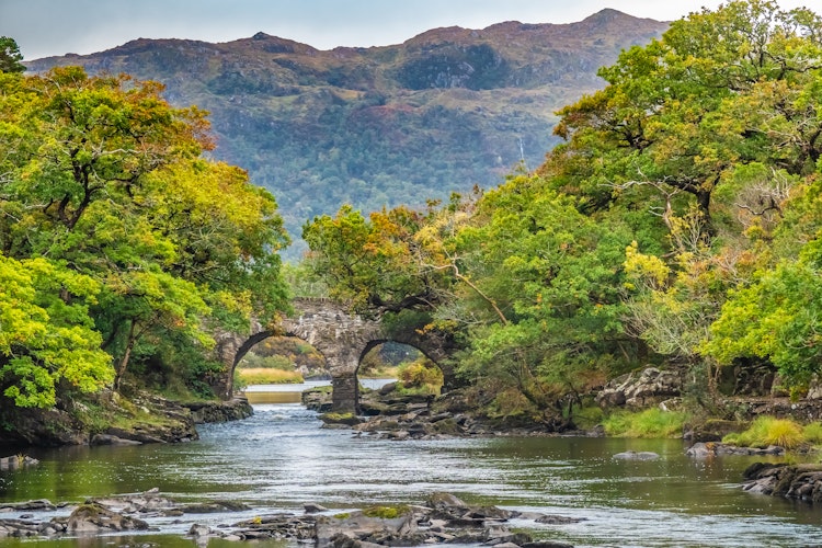 Den historiske Old Weir Bridge ved Meeting of the Waters i Killarney National Park, hvor de tre søer mødes på vandreruten Muckross Lake Loop