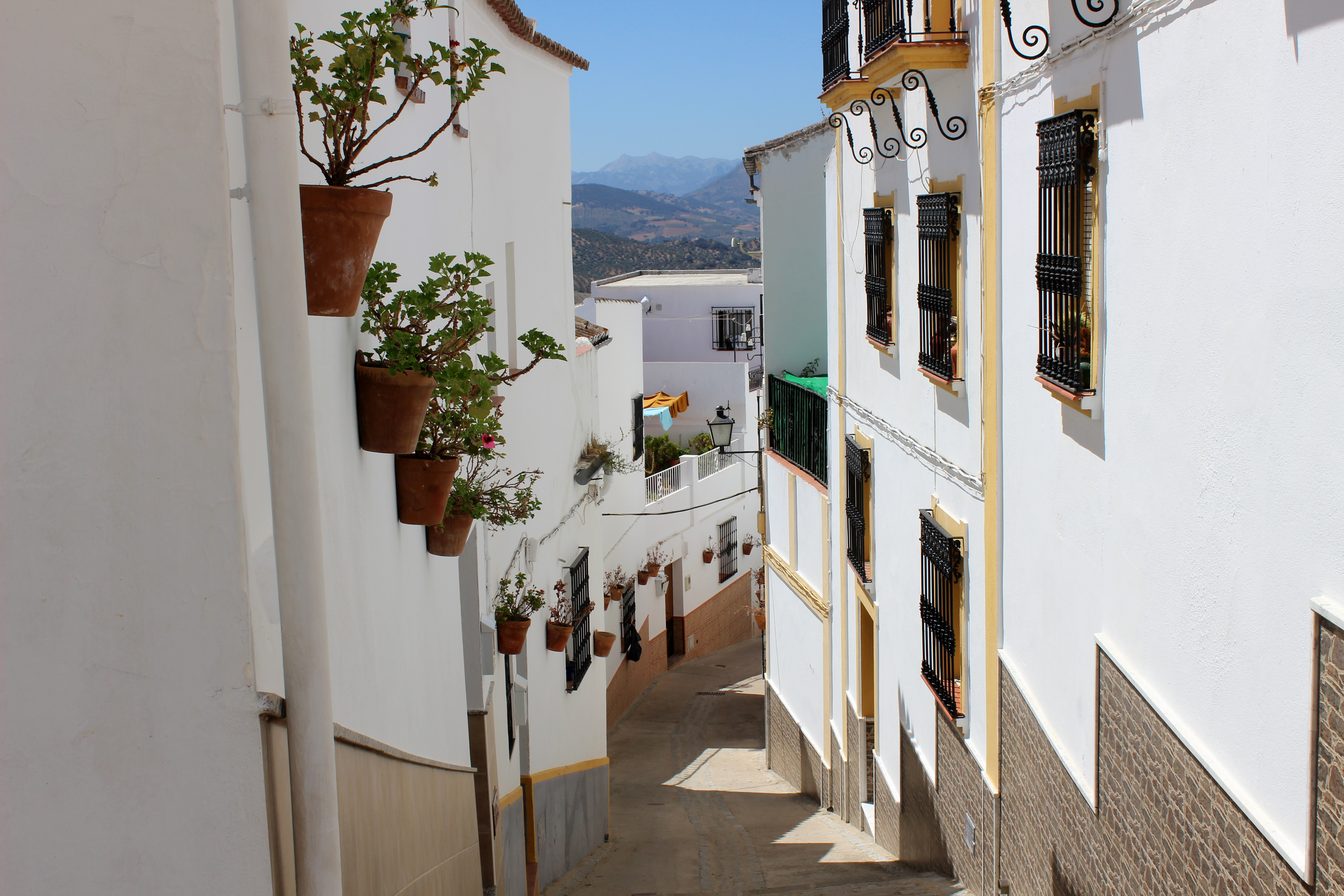 Charmerende smal gade i den hvidkalkede by Olvera med traditionelle huse prydet med farverige blomsterkrukker - oplev den autentiske landlige atmosfære i Cádiz-provinsen, Andalusien, på din rejse til Spanien