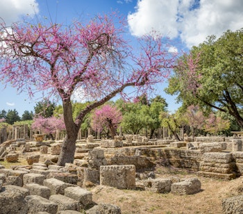 Fascinerende ruiner fra det antikke Olympia i Grækenland med klassiske marmorsøjler omgivet af smukke lyserøde forårsblomster