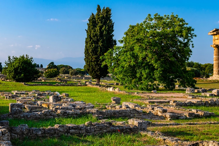 Arkaeologisk sted Paestum med Neptun-templet og doriske søjler.