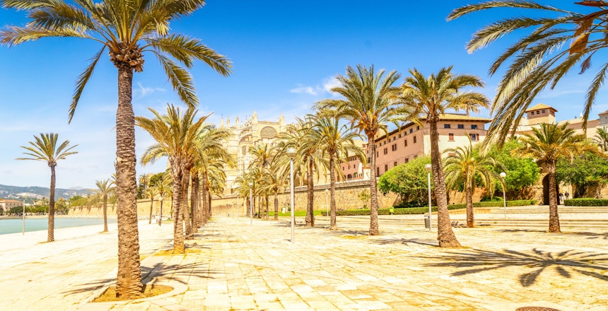 Den imponerende gotiske katedral La Seu med udsigt over Palma de Mallorca by, omgivet af palmetræer og azurblåt middelhav på Balearerne