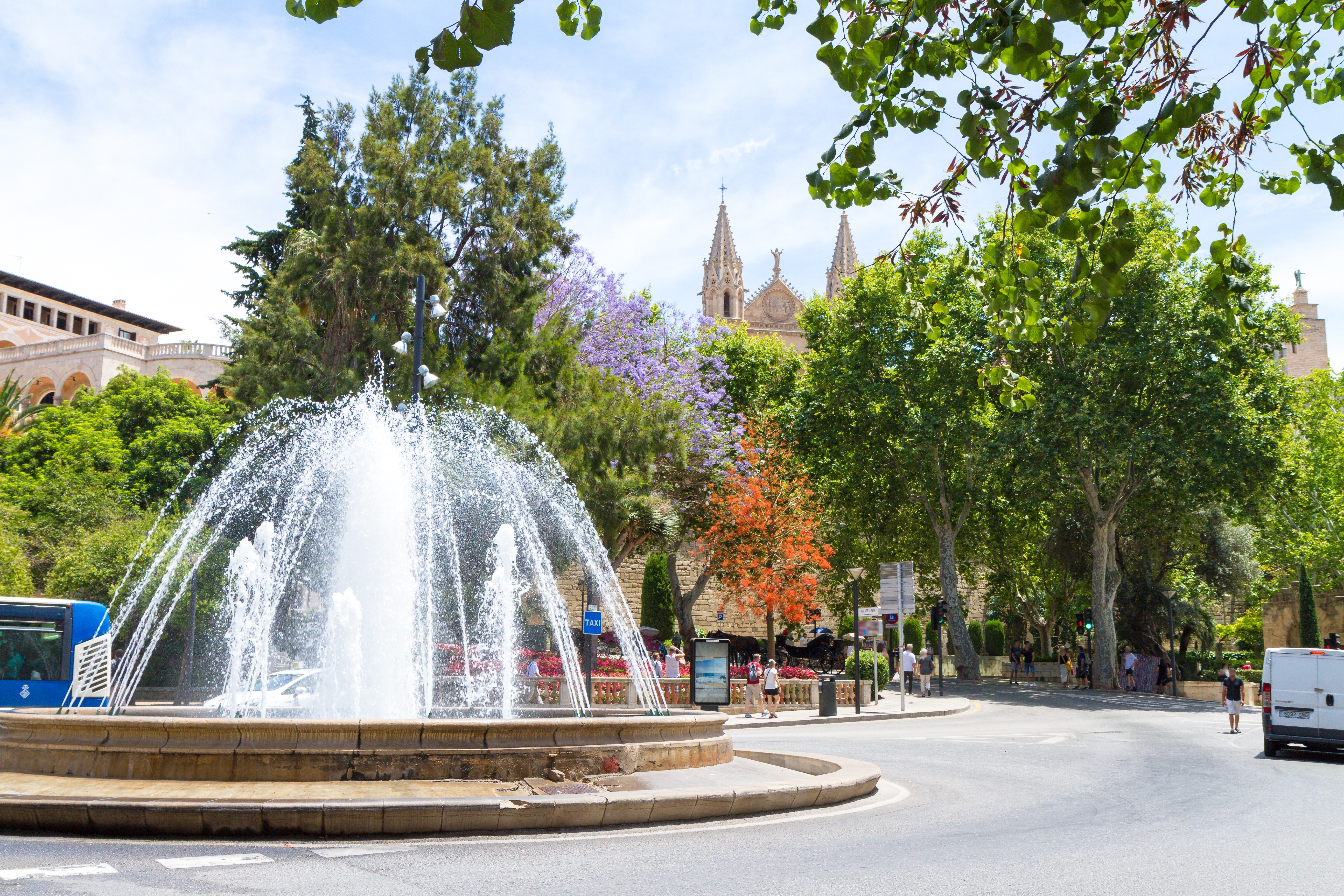 Charmerende springvand på Plaza de la Reina i Palma de Mallorca med den gotiske La Seu-katedral og Almudaina-paladset i baggrunden, omgivet af grønne træer under en klar blå himmel
