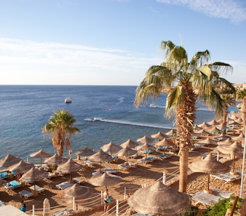 Idyllisk strandresort med palmer og stråparasoller ved Det Røde Havs krystalklare vand i Aqaba, Jordan