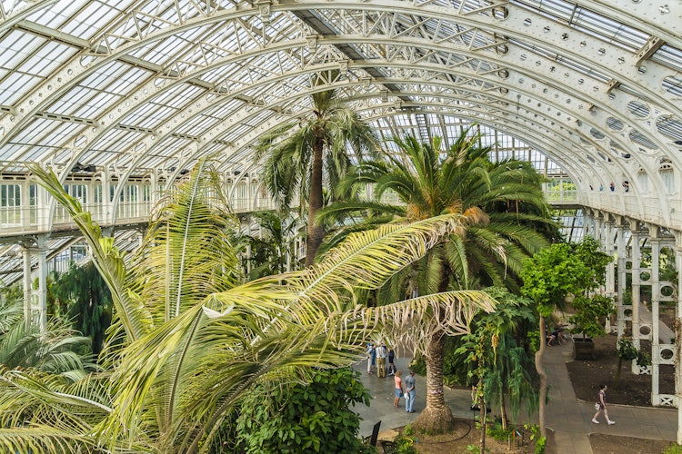 Det historiske palmehus i Kew Gardens, London med tropiske palmer - en berømt botanisk attraktion i Storbritanniens kongelige haver