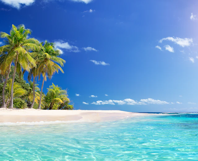 Idyllisk hvid sandstrand med vajende palmer og turkisblåt vand på den tropiske ferieø Guadeloupe i Caribien