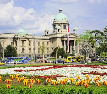 Den historiske parlamentsbygning i Beograd med farverige tulipanbede og det serbiske flag vajende i forgrunden